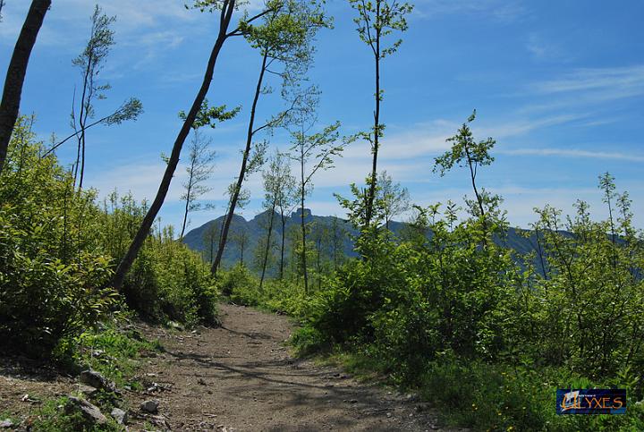 sotto il monte rotondo.JPG